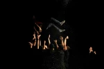 نمایش ،شب شهراب کشان /سید مهدی حسام الذاکرین