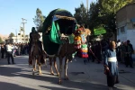 کاروان نمادین دشت کربلا در فرخشهر به راه افتاد