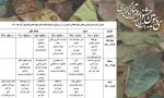 جدول بازبینی نمایش های سی وسومین جشنواره تئاتر استان چهارمحال وبختیاری منتشر شد 2