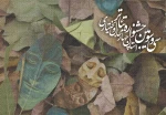 آثار راه یافته به سی و سومین جشنواره تئاتر استان چهارمحال و بختیاری مشخص شد 2