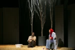 «کُلاغ‌ها»
