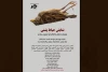 نمایش «حیاط پشتی» در بروجن روی صحنه رفت 2